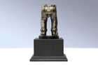 Fantasy Football Loser Trophy: 'Dick Downey'